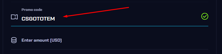 CSGONet Enter the Code