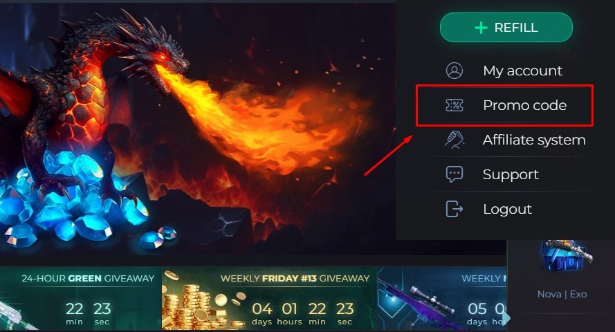 promo code section on bloodycase